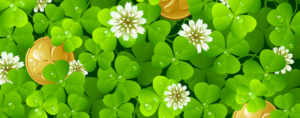 St Patrick's green clovers